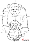 Puzzle cu cimpanzei