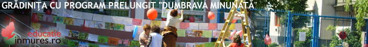 Educatie in Mures