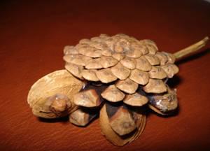 Broască țestoasă din materiale naturale