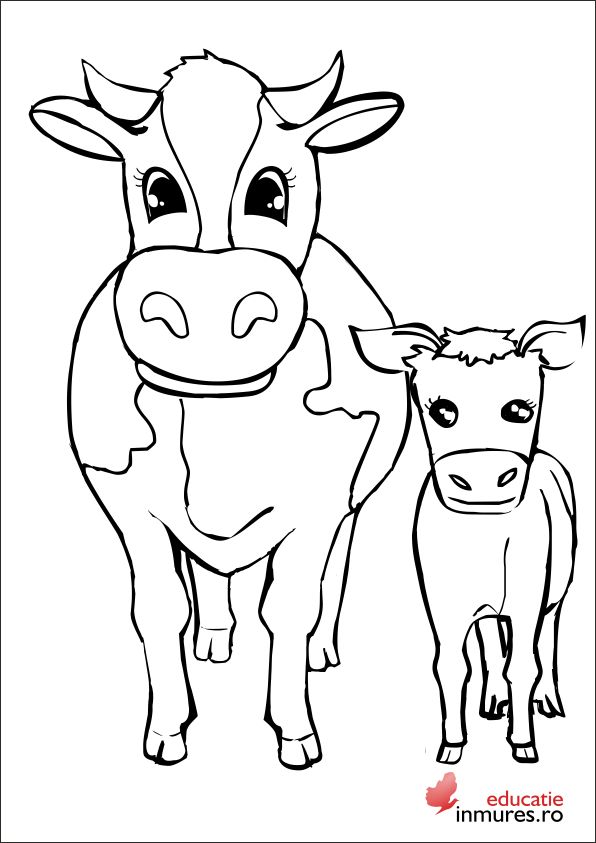 Plansa de colorat cu vaca si vitel