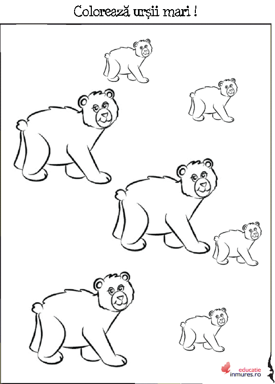 Colorează ursii -Fisă didactica