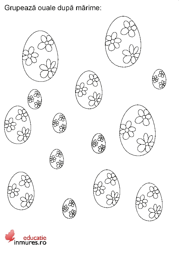 Grupează ouăle după mărime