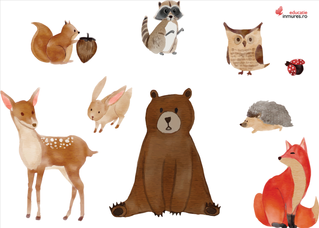 Ilustrație cu animale din pădure