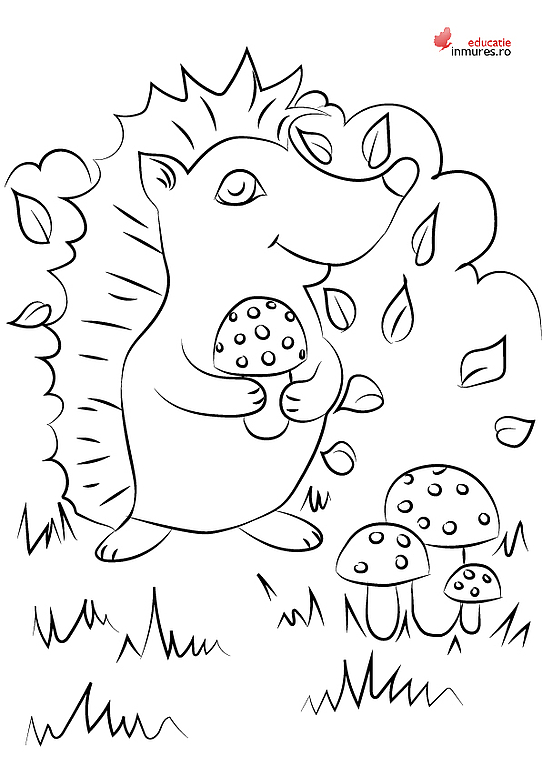 Toamna - Un arici pe o ciupercă