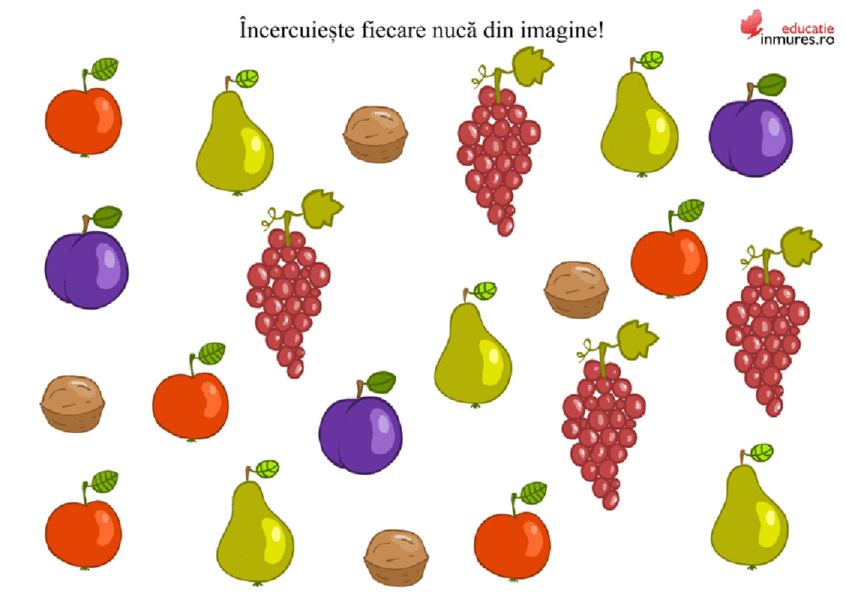 hypothesis Grape Ward Fișă didactică-Nuci