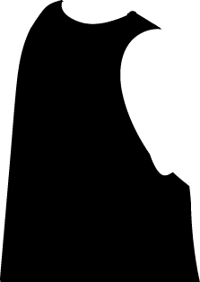 Polygon