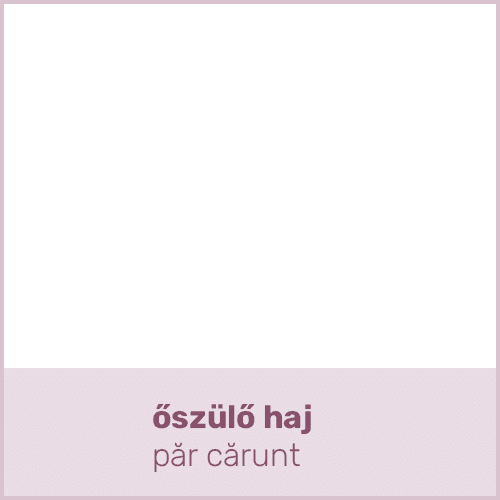 őszülő haj păr cărun