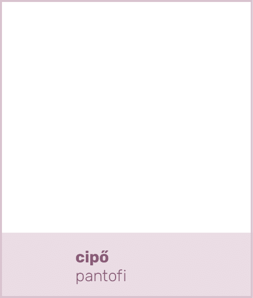 cipő pantof