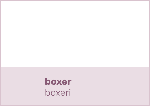boxer boxer