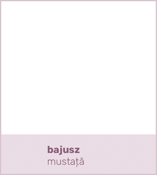 bajusz mustaț