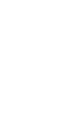 Condițional optativ