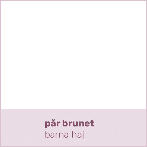 păr brunet barna ha