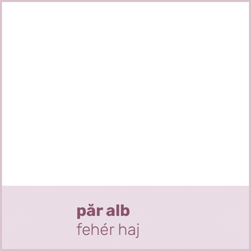 păr alb fehér ha