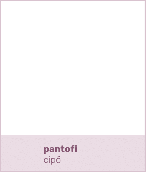 pantofi cip