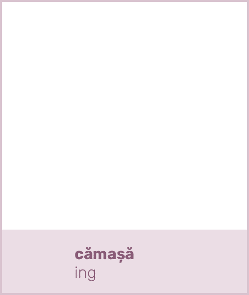 cămașă ing