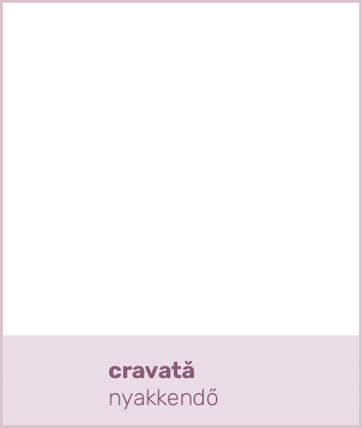 cravată nyakkend