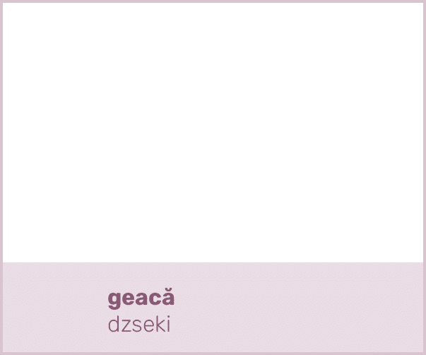 geacă dzsek