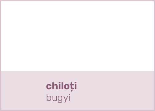 chiloți bugy