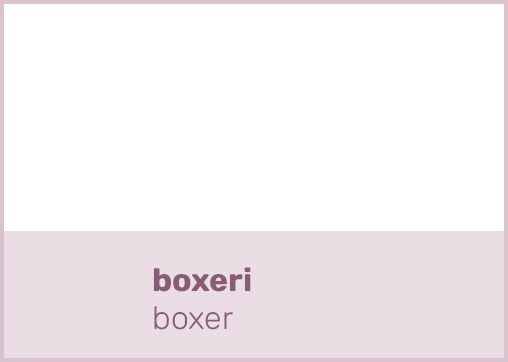 boxeri boxe
