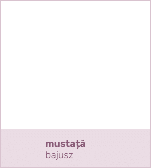mustață bajus