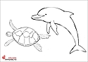 Delfin și broască țestoasă