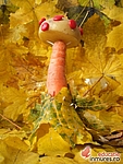 Figurine din legume - Ciupercuța