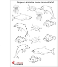 Grupează animalele marine 1