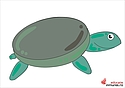 Desenăm o broască țestoasă