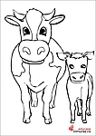 Vacă și vițel