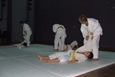 Cercul de judo